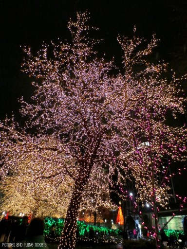 Lights at Temple Square