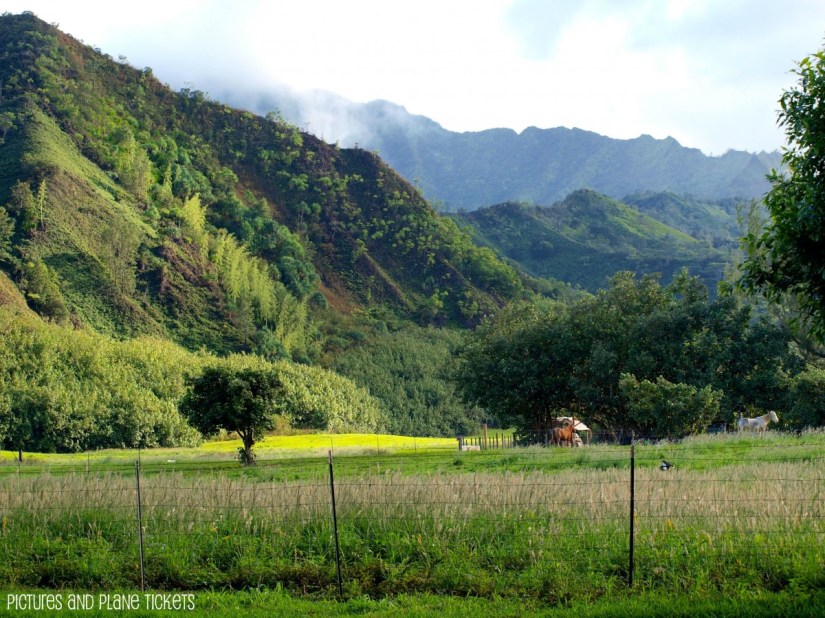 This farm reminds me of my Aunt Kim's farm