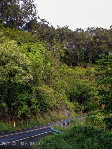 Road to Hana9