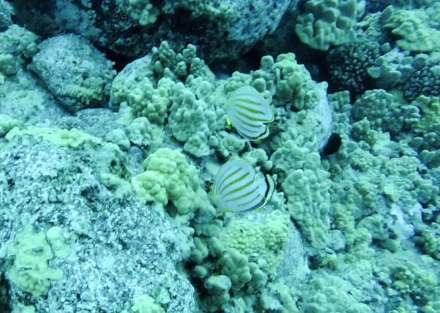 Screen Shot 2014-06-16 at 6.39.41 PM