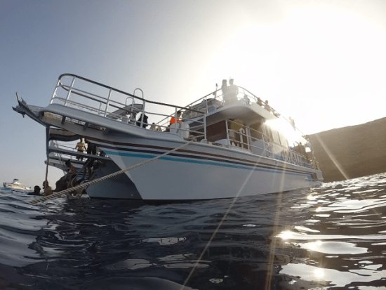 Pride of Maui Molokini Snorkel