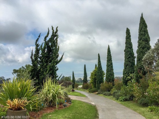Ali'i Kula Lavender Farm