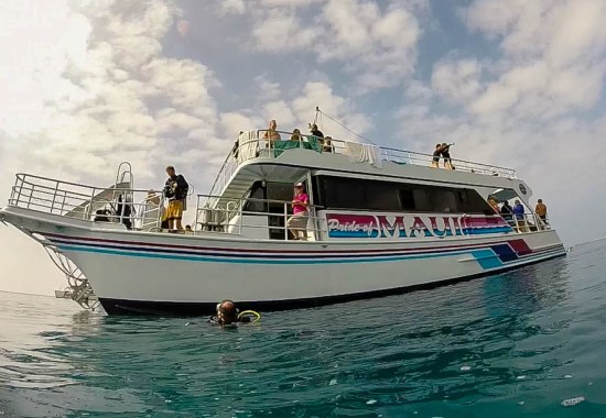 Turtle Town II, Pride of Maui