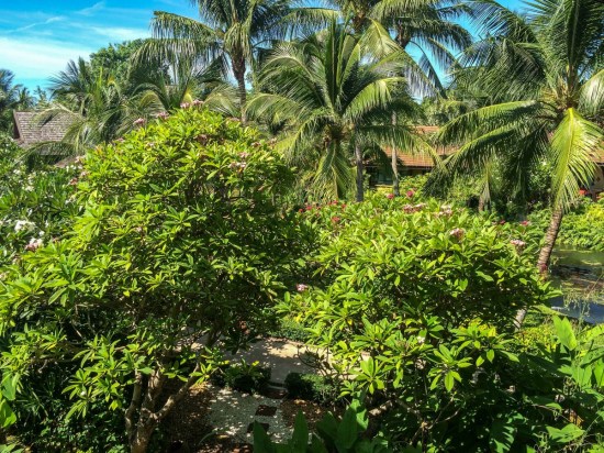 The view from our balcony