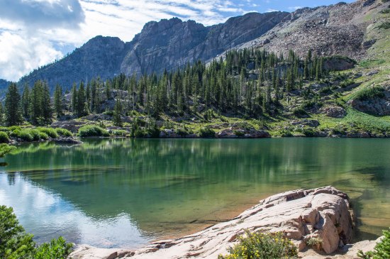 Albion Basin Albion Basin