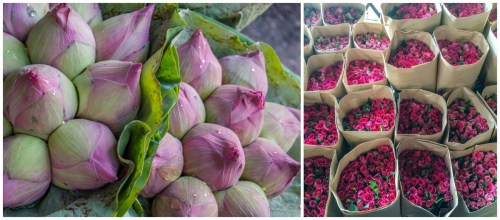 Flower Market Collage