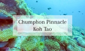 Things to do in Koh Tao