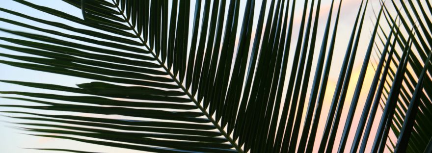 Tokoriki Sheraton Resort & SpaTokoriki Sheraton Resort & Spa