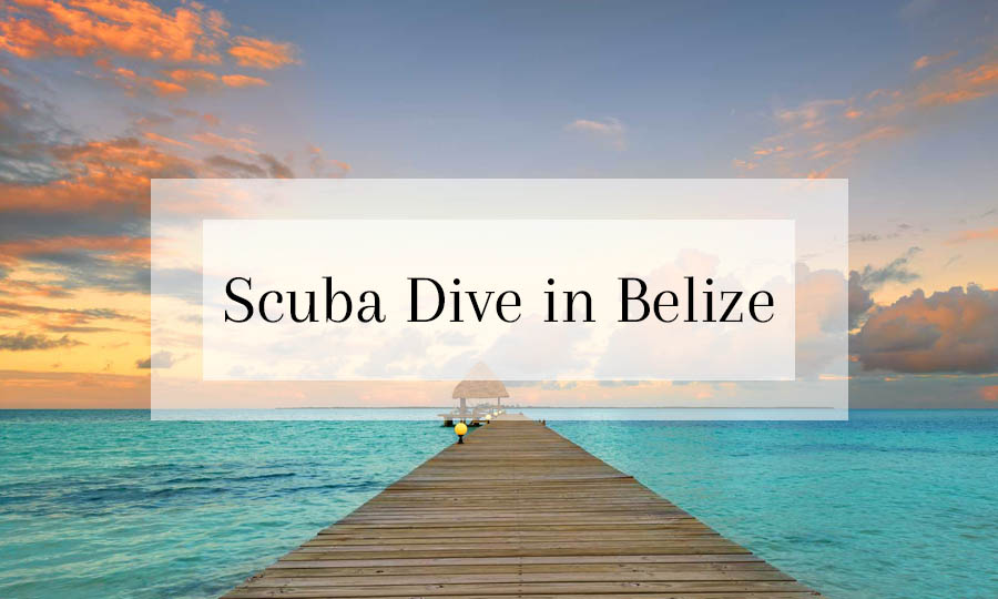 Scuba Dive in Belize