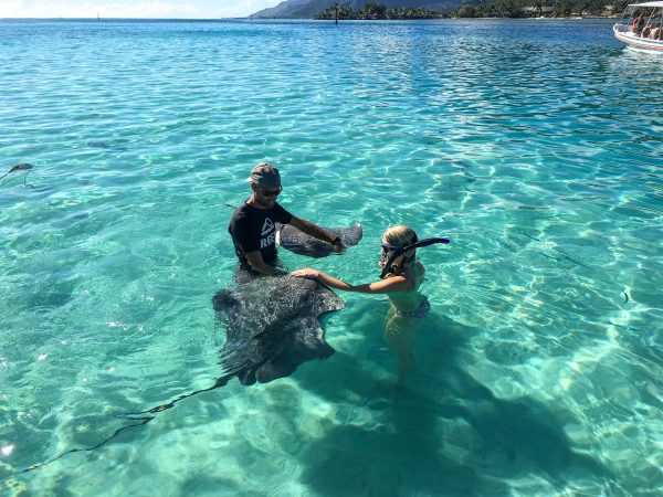 Mo'orea Sting Rays