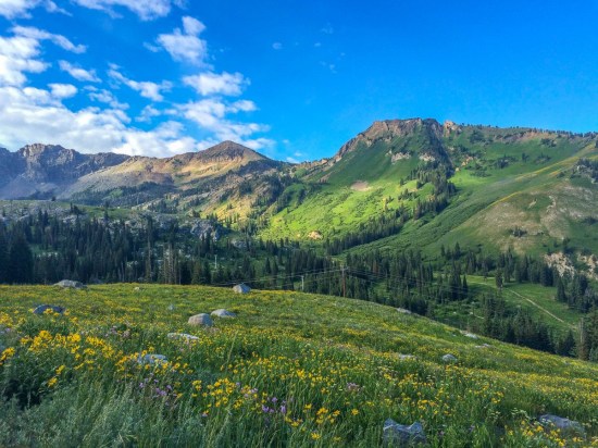 Albion Basin Albion Basin