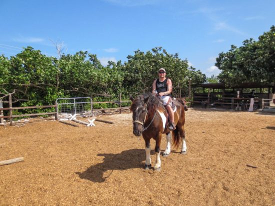 Provo Ponies, Turks & Caicos