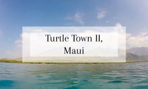 Things to do in Maui