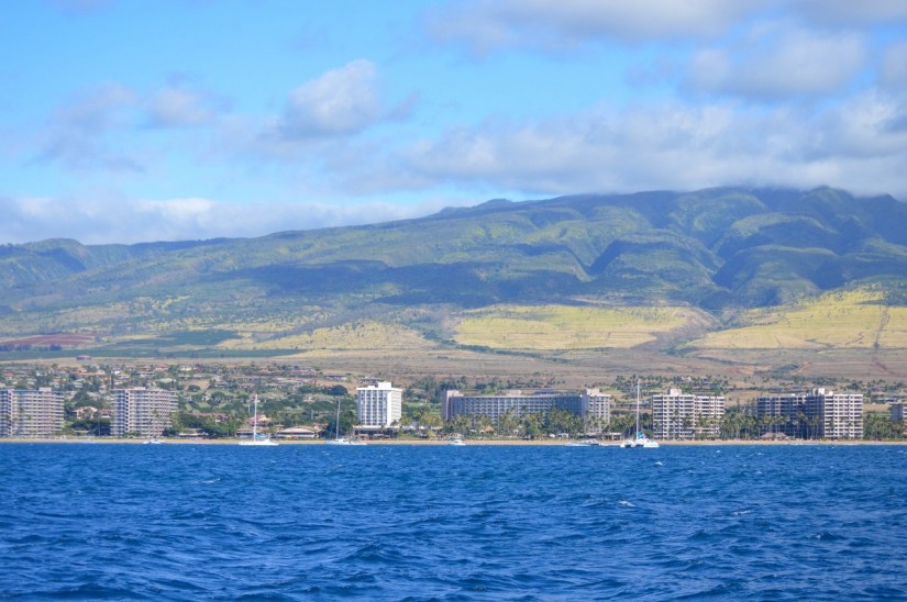 Trilogy Whale Watch, Maui