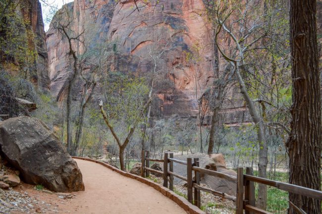 Zion National Park