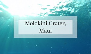 Things to do in Maui